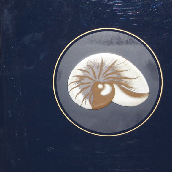 Vintage Photo/Picture Album Blue Natulus Seashell Scrapbook Laquer - Picture 2 of 4